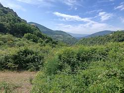 La vue