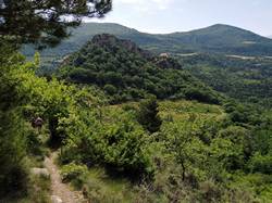 La monte