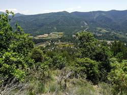La vue