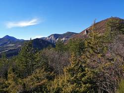 Le paysage