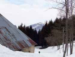 Ferme du Morbi