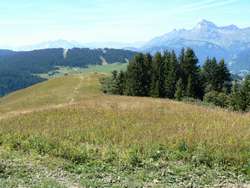 Mont Rond