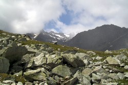 La vue